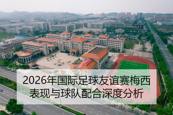 2026年国际足球友谊赛梅西表现与球队配合深度分析