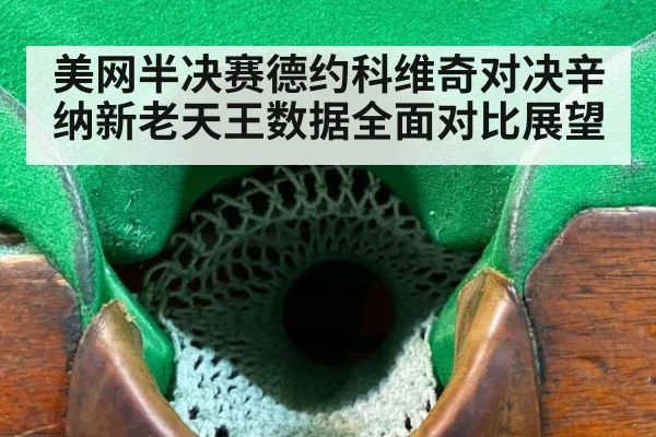 美网半决赛德约科维奇对决辛纳新老天王数据全面对比展望